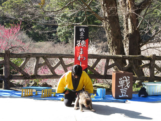 ひとしきり、昔懐かしの？おサルさんの芸を楽しんだ　この頃には園内も人出が多くなり、芸を始めてまもなくには盛んに拍手を送る見物人、人だかりとなる　