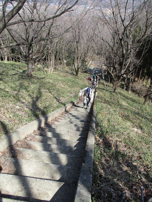 神社の急な階段を登ります