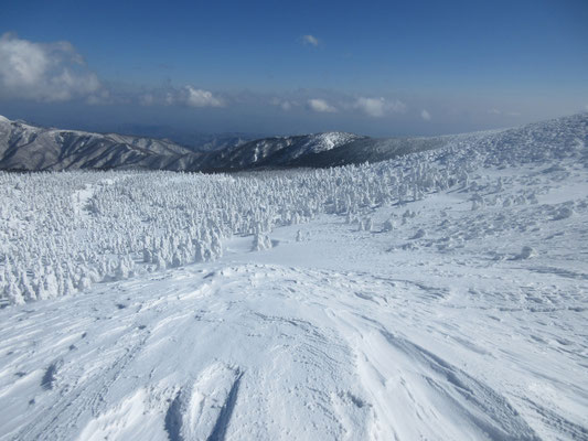 雪原と樹氷1