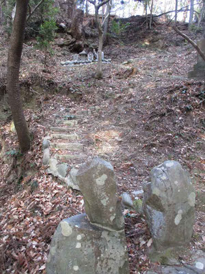 降り立った峠道より辿ってきた山道を見上げる