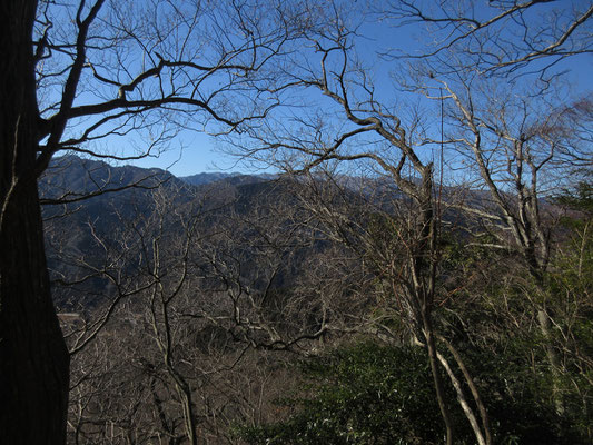 登りながら振り返ると、丹沢山塊も随分見渡せる高さまで来たのがわかる