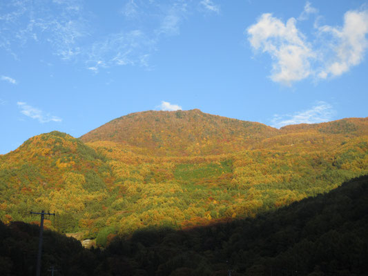 大鹿村に入ると、西日を浴びて秋色の鳥倉山が圧倒的