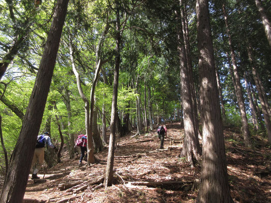 飲み物を飲んで一息ついたら縦走開始 ここからは宮ヶ瀬高取山に向かう登りがつづく