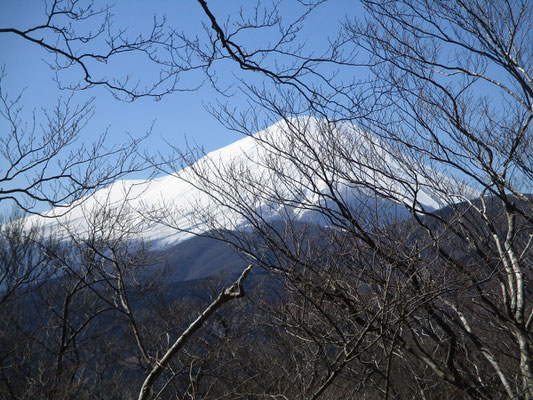 帰路の富士山　いつも2月頃なら下の方まで真っ白だし、もっと布団をかぶったみたいにもっこりとしているのに、なんだか薄着のまま