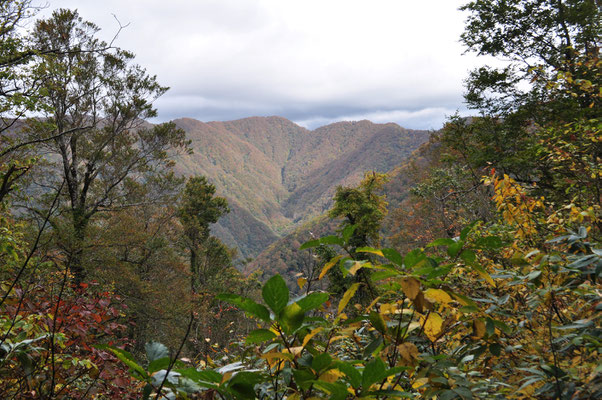 木々の隙間から十二湖へ続く山稜が見える　山の秋の深まりと一緒に、随分登ってきたと分かる