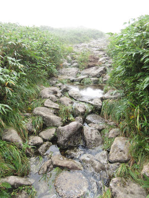 多少水が小さな流れを作ってはいたが、すでに登山靴を濡らすほどではない