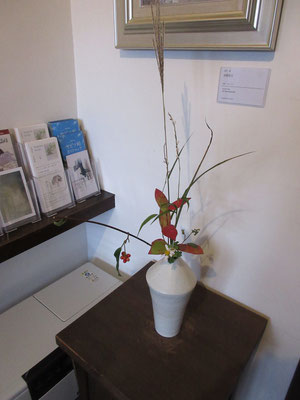 その日の入り口のお花