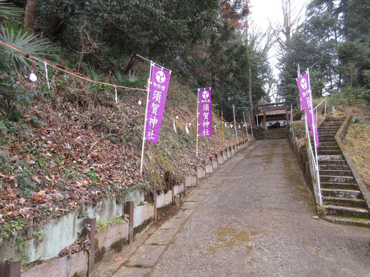 湧水から少し移動すると「須賀神社」がある　新年を迎える為に氏子のおじさん達がせっせと神社の清掃をしていたが、お参りしようと参道をゆくと、庭の掃除機（風で吹き飛ばすやつ）のスイッチを切って静かにしてくれた　何という心遣い！