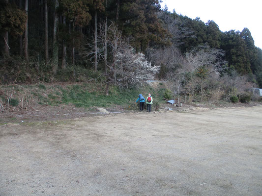 帰路のバス停にて　楽しかった山行もこれで終わりです　でもバスを待っている時、庭の向こうに捨てられた柚子の木を目ざとく見つけて行った人がいました