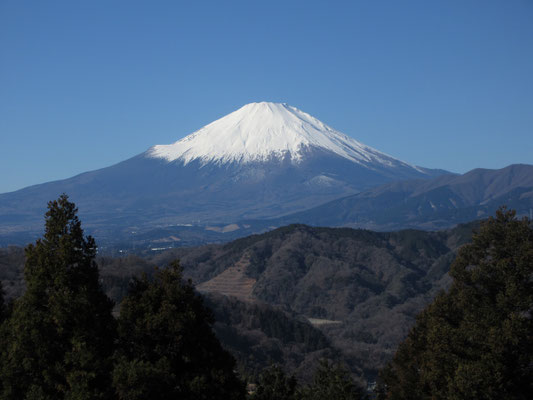 こちらからの富士山は裾野もきれいに引いた姿で本当に美しい　左の稜線上にあるのは宝永山の火口　神奈川からだとこれが必ず見える