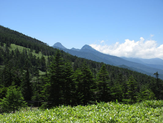 その向こうに南八ヶ岳の山々が見える