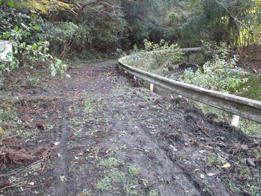 登山道入り口の林道（簡易舗装だった）が完全に泥で埋め尽くされている　台風の大雨では沢で処理し切れなかった山からの水が登山道や林道にも川のように流れたことが分かる