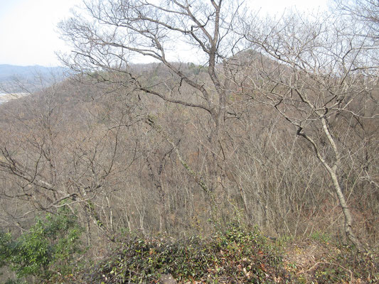 その岩の上からの青竜ヶ岳が立派に見える
