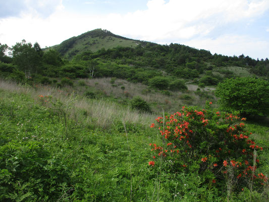 鷲ヶ峰が近づき、この日の散策もフィナーレが近い