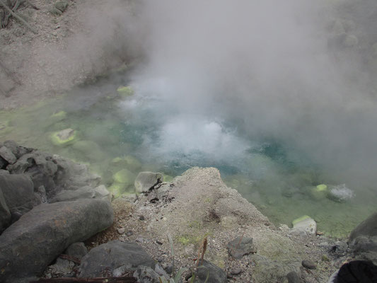 あまりの蒸気で写真がなかなか撮れないほどの温泉湧出量