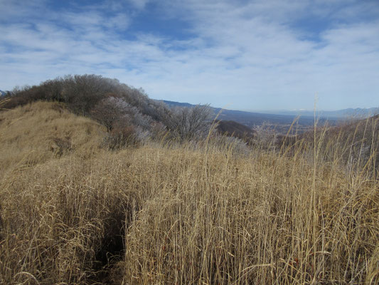 展望広場からひと登りして、そこで休憩とする 先の樹林のヤブが山頂