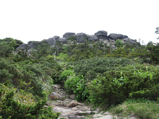 上を見えれば目的の「梵天岩」果たして見晴らしは・・・？