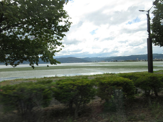 下山後は岡谷経由で北上するため、諏訪湖畔を巡る　湖が緑色に覆われているのはヒシという水草らしい