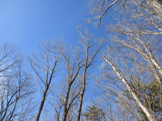 ずっと青い空