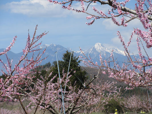 八ヶ岳も見えました