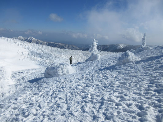 地蔵山山頂付近は人も少なく、樹氷が何処までも続く