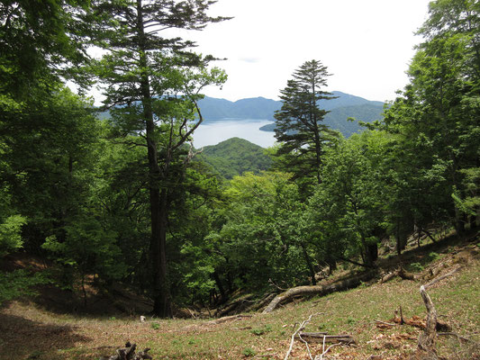 山頂直下の鞍部、倒木の跡地にて中禅寺湖方面の眺望