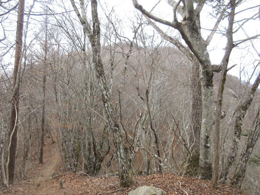 辿り着いた稜線から見えるのは双耳峰的な山頂で本当の山頂はもう一つ向こう側のようだ
