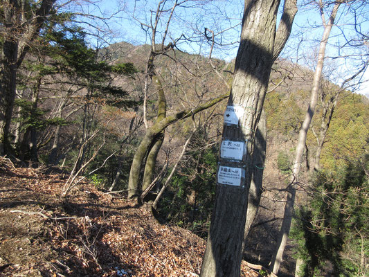 この地点で尾根に乗るが、下山時は間違って直進して下らないように標識を設置してある