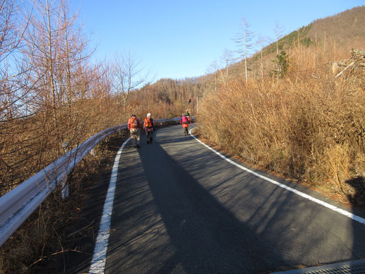 目的地のペンションすずらんまではまだ植林地皆伐後の迂回路をしばらく歩いて、無事下山　お疲れ様でした