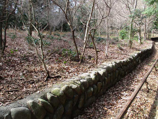 上に来ると平らな地形に石組みも出てきて昔は山中の広い畑だったことがうかがわれます