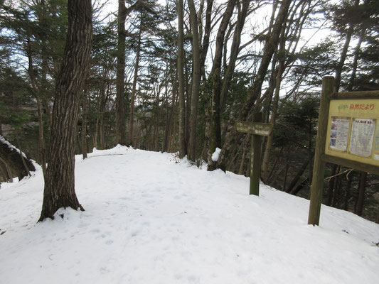 ひとしきり休憩したら、半日の雪山ハイキングの下山開始