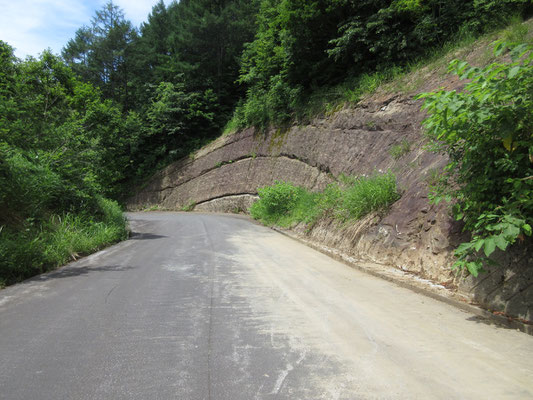 道路の脇、一面が湾曲している