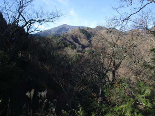 そこからは大山がいつもとちょっと違う角度で見える　ここでスケッチタイム