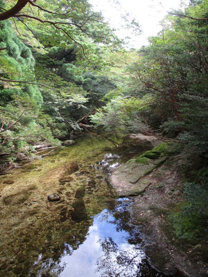 淀川小屋裏の清流