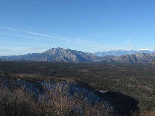 青木ヶ原の樹海の向こうには天子山塊　奥に小さく見える白は聖岳と右が赤石岳