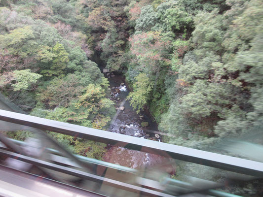 そして急いで下を見る　早川の渓流が見えた！　