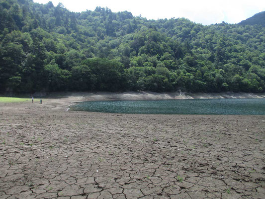 湖に少し近づくと地面はひび割れているのがよくわかります