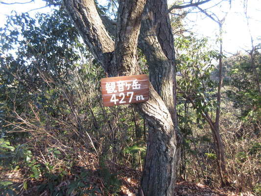 このピークが観音ヶ岳