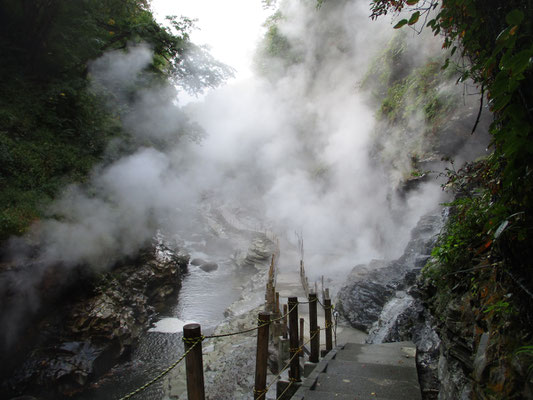 濛々とした湯気、そこに上手く遊歩道をつくってある