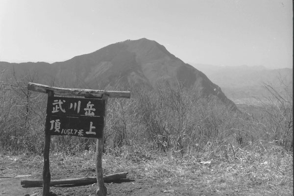 今は立ち木でこんなにすっきりとした景観は望めない　特に葉の茂る季節は殆ど見えないだろう