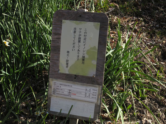 ここもイノシシなどの被害が多いらしく、畑の周囲は電気柵がめぐらしてあるし、こんな仕掛け罠の警告表示が各所に目についた