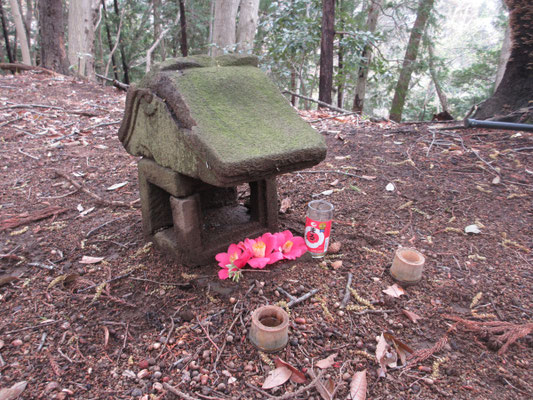 下山しながら拾ったきれいな落花をお供えする