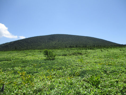 東吾妻山