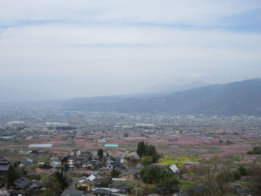 今回の訪問は、少し標高の高い所から眺められる桃源郷が目的だった　中央道は盆地の中を走っているので、俯瞰する眺望・桃源郷はこうした場所まで来ないと得られない