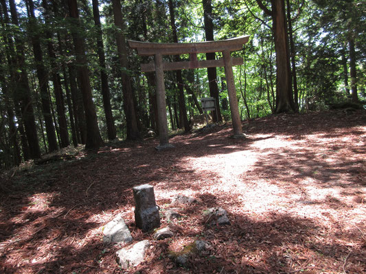 鳥居の内側、境内に二等三角点がある