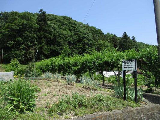 町中から人家を分け、畑のなかから始まる大渕登山口