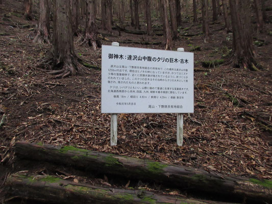 こんな説明板あり