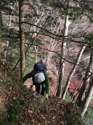 急登を登ります