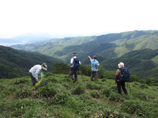 向こうは諏訪湖や中央アルプス方面　何故かアロハシャツ姿で解説する山旅師匠
