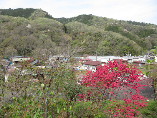 そして今日歩いた山の方を見る